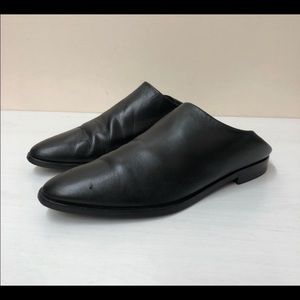 Everlane the modern babo